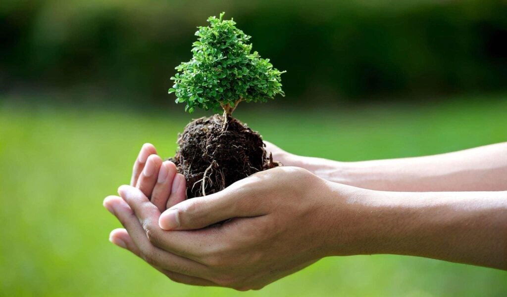 Resumen: Cómo se debe cuidar el medio ambiente Cómo se debe cuidar el medio ambiente